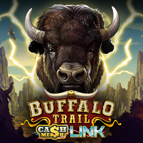 Buffalo Trail – Cash Mesh LINK