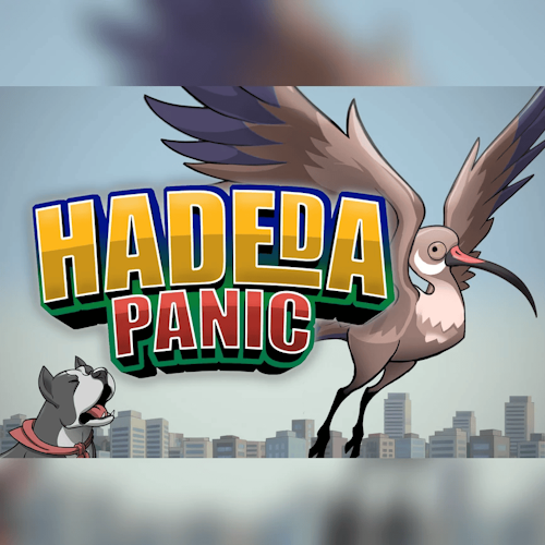 Hadeda Panic