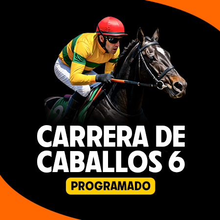 Carrera de Caballos 6 Programado