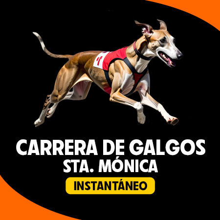 Carrera de Galgos Sta. Mónica Instantáneo