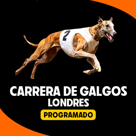 Carrera de Galgos Londres Programado