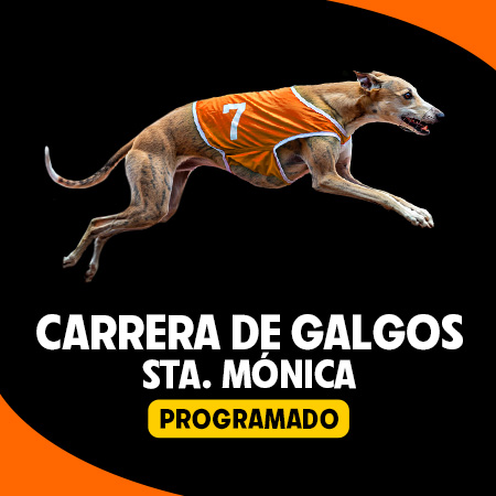 Carrera de Galgos Sta. Mónica Programado