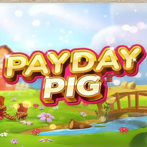 Payday Pig