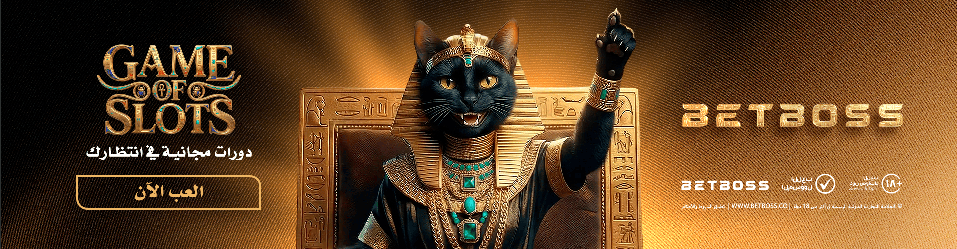 octonovus-carousel-image