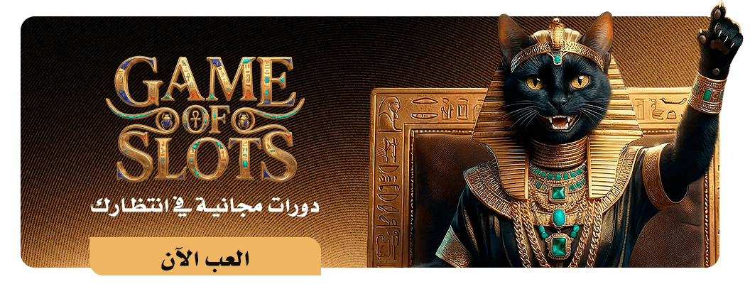 octonovus-carousel-image