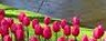 octonovus-carousel-image