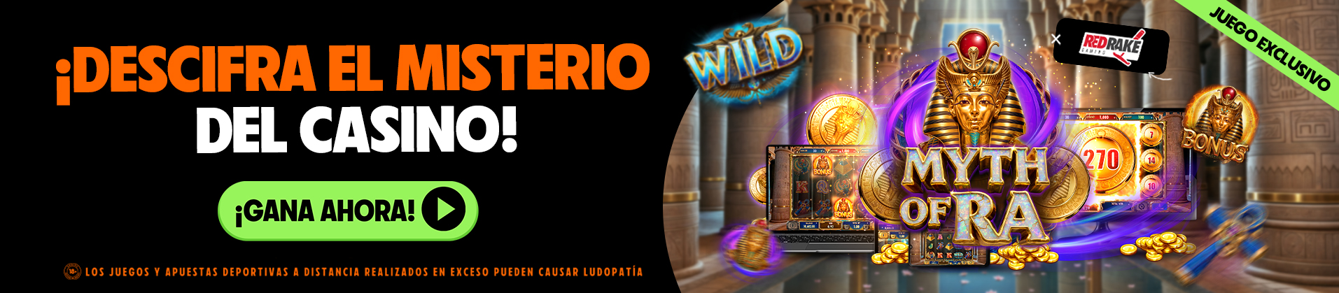 octonovus-carousel-image