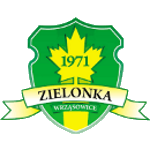 emblem-20429