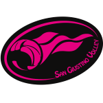 emblem-3181
